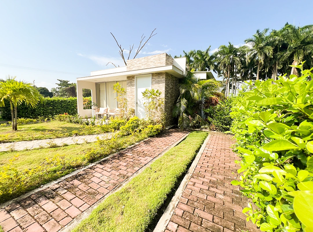 Vista de cocina proyecto Blue